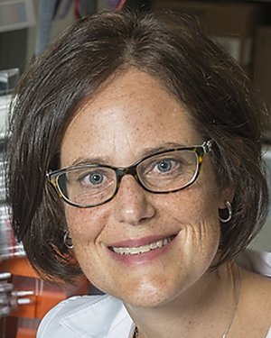 Photo of Dr. Christine Anne Pratilas, M.D.