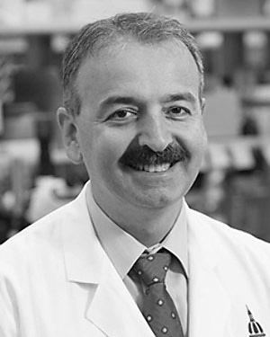 Photo of Dr. Hoke, Ahmet,  M.D., Ph.D.